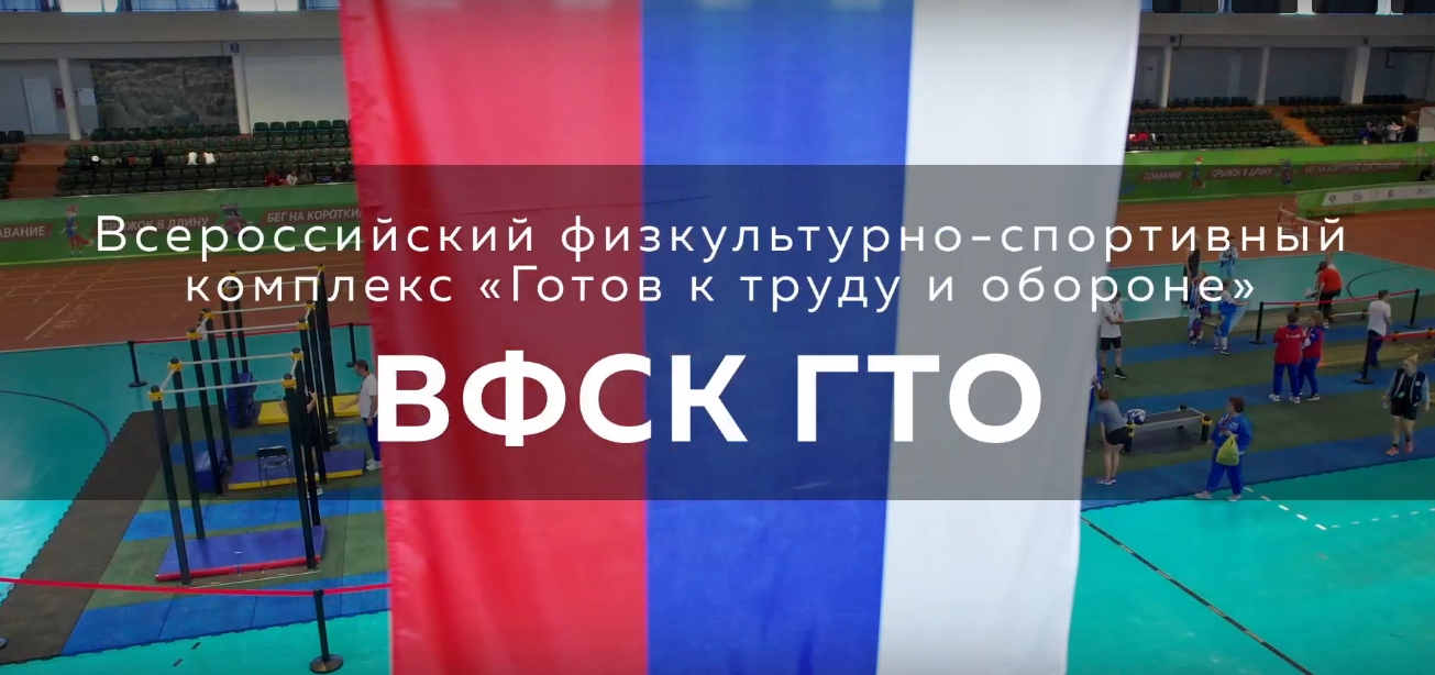 Фестиваль ВФСК ГТО «Готов к труду и обороне».